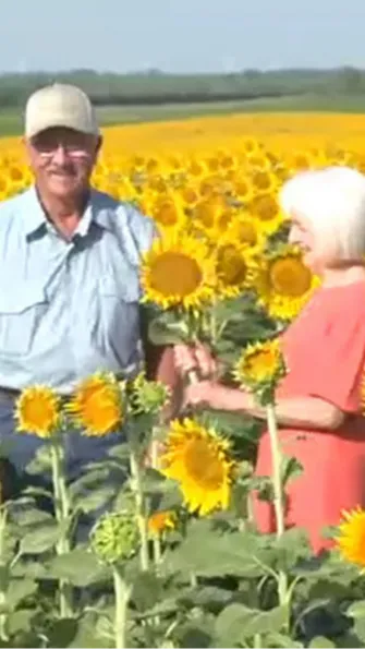 Now, Lee's sunflowers impress his wife and attract people from all over the state to take pictures in this beautiful field.
