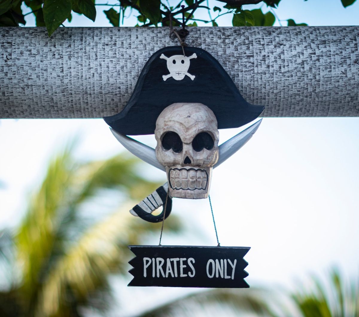 45 Pirate Quotes Funny, Boost Your Joy Imagination On The Sea