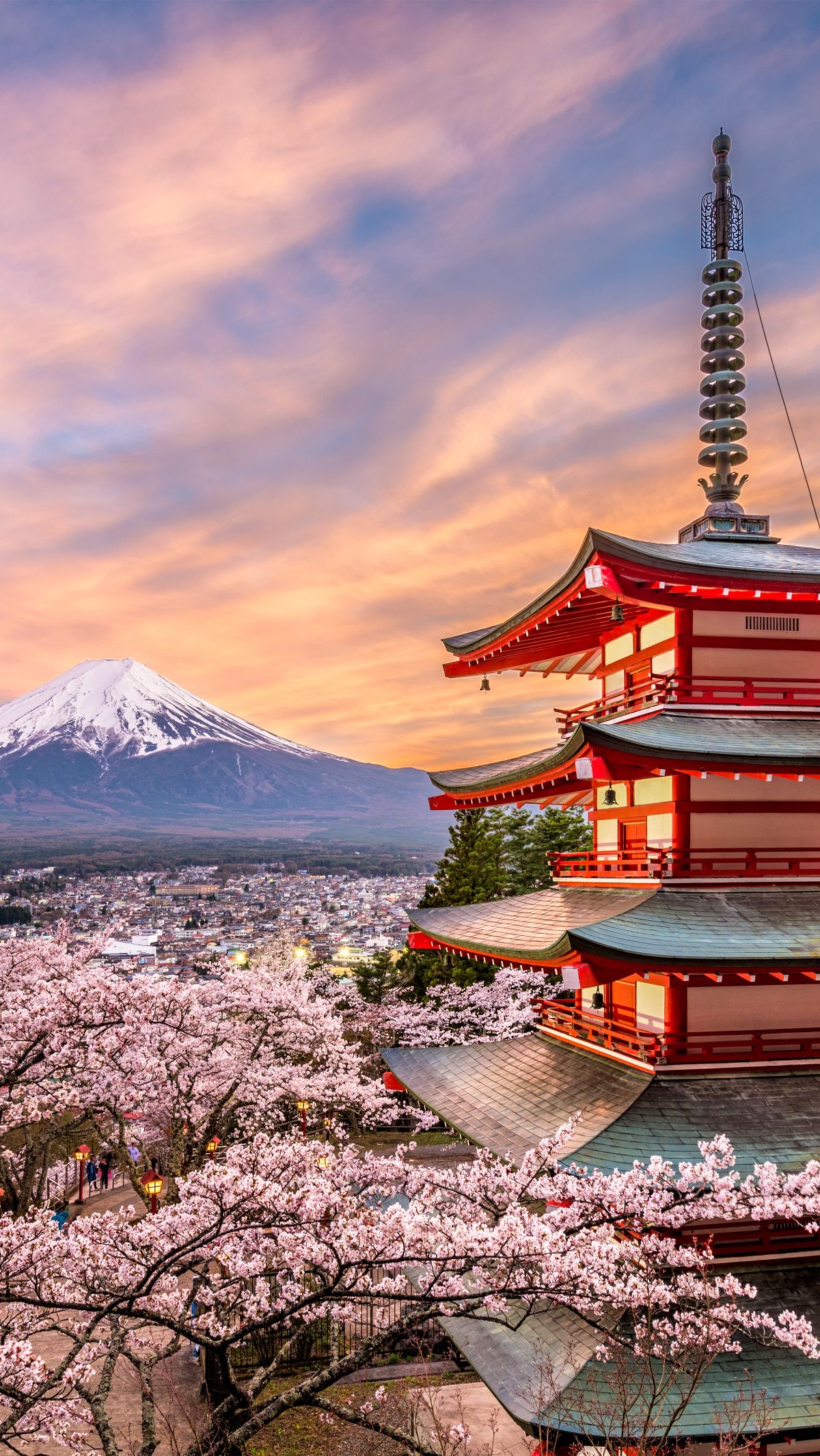 Rumah transparan tersebut berada di Tokyo, Jepang