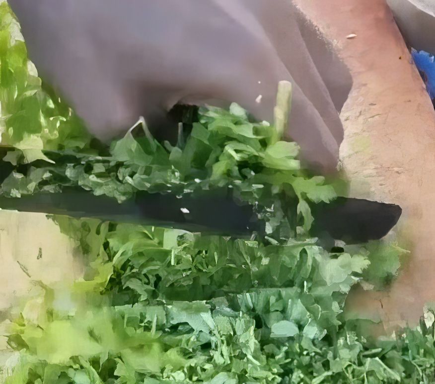 Street Food Unik dari India Berbahan Tomat Segar Ini Disebut Mirip Makanan Bebek: Ditepungi dan Digoreng, Tapi Endingnya Dihancurkan