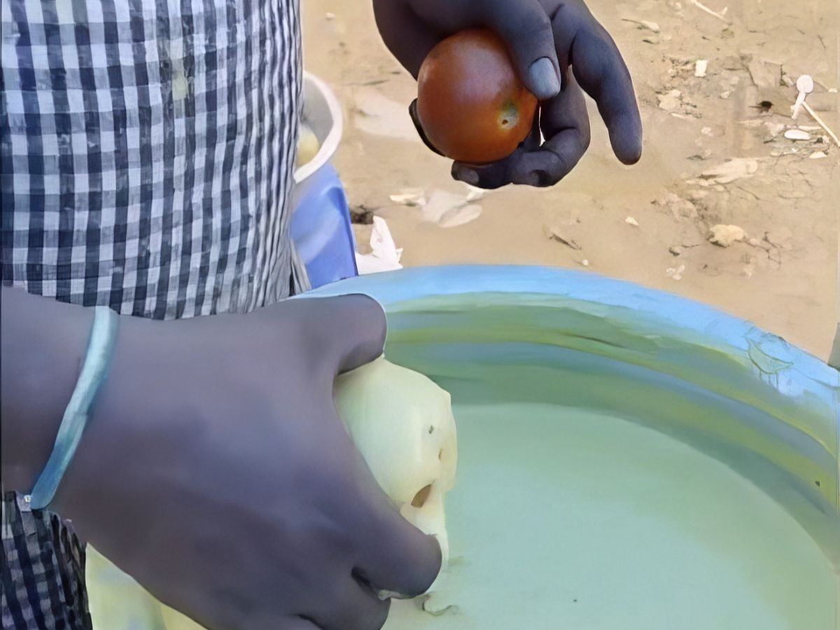Street Food Unik dari India Berbahan Tomat Segar Ini Disebut Mirip Makanan Bebek: Ditepungi dan Digoreng, Tapi Endingnya Dihancurkan