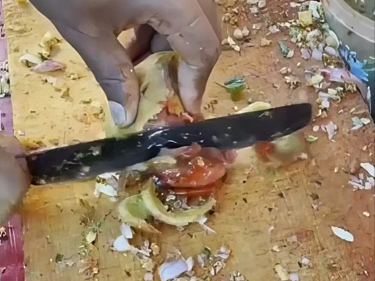 Street Food Unik dari India Berbahan Tomat Segar Ini Disebut Mirip Makanan Bebek: Ditepungi dan Digoreng, Tapi Endingnya Dihancurkan