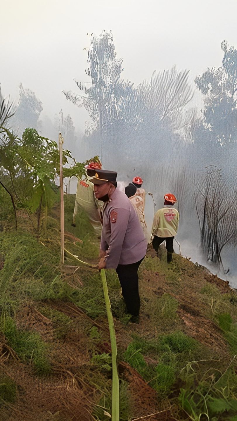 Kebakaran Gunung Bromo Merembet hingga Poncokusumo Malang<br>