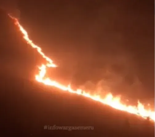 Kebakaran Gunung Bromo Merembet hingga Poncokusumo Malang