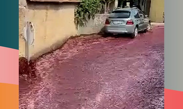 The streets in Levira, Portugal, yesterday were flooded with red wine.
