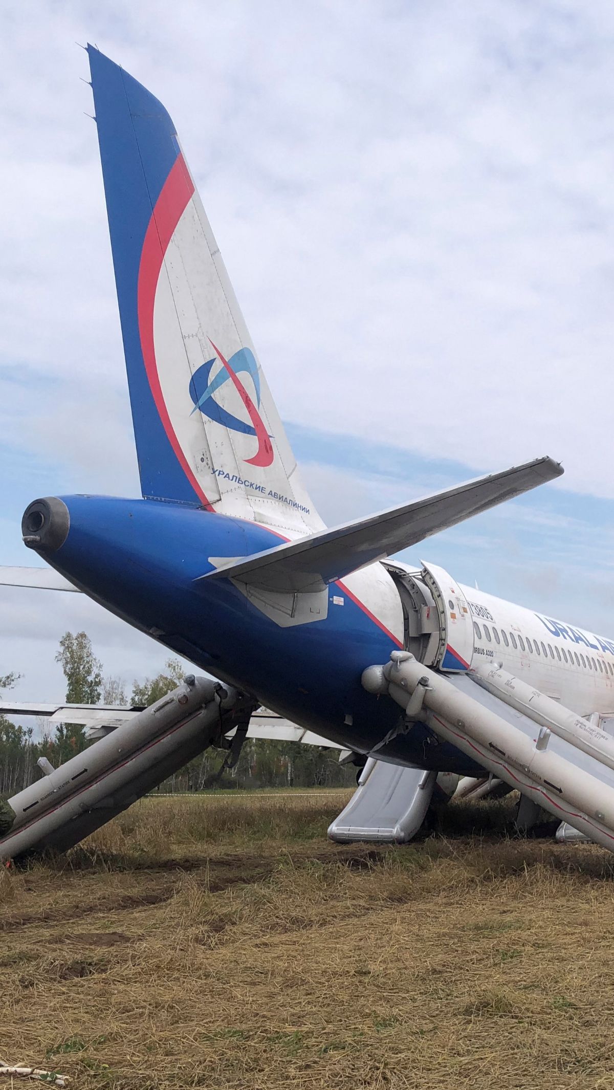 Sebelum mendarat darurat, pesawat Airbus A320 yang mengangkut 167 orang itu terbang dari kota resor Laut Hitam, Sochi menuju Kota Omsk di Siberia.<br>