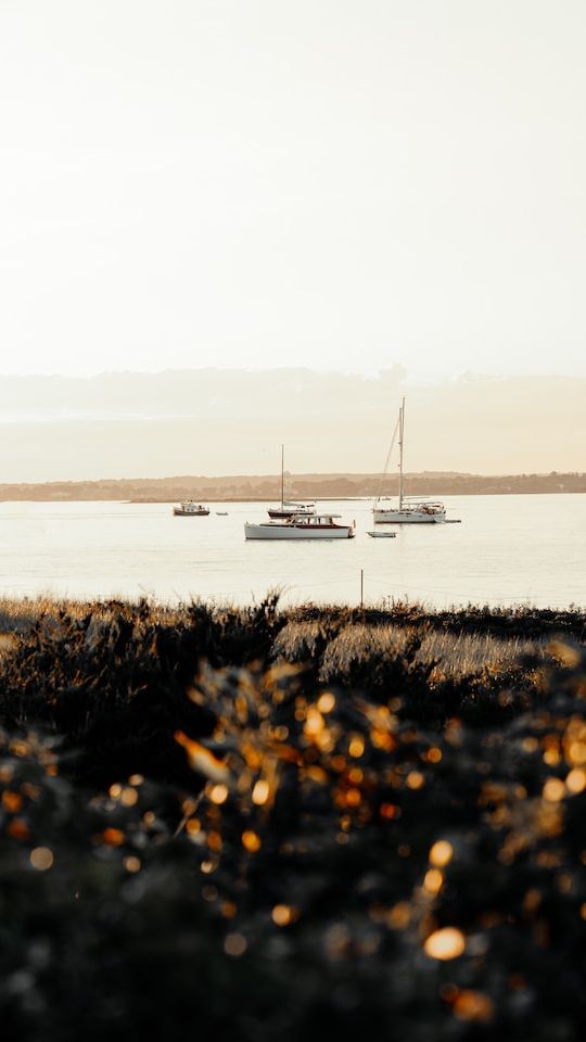 5 Things To Do In Rhode Island For First Time Visitors