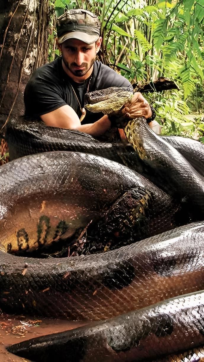 Penemuan Bangkai Ular Anaconda Raksasa di Tengah Hutan Bikin Merinding