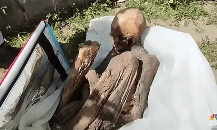 Man Carrying 800-Year-Old Mummified Corpse in Food Delivery Bag