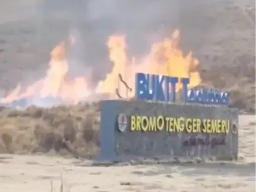 Rugikan Negara Miliaran, Calon Pengantin Kebakaran Bromo Tetap Santai Jalani Pemeriksaan, Sibuk Main Hp