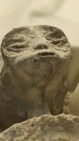 Two Alleged 'Alien Corpses' Were Display in Mexico City