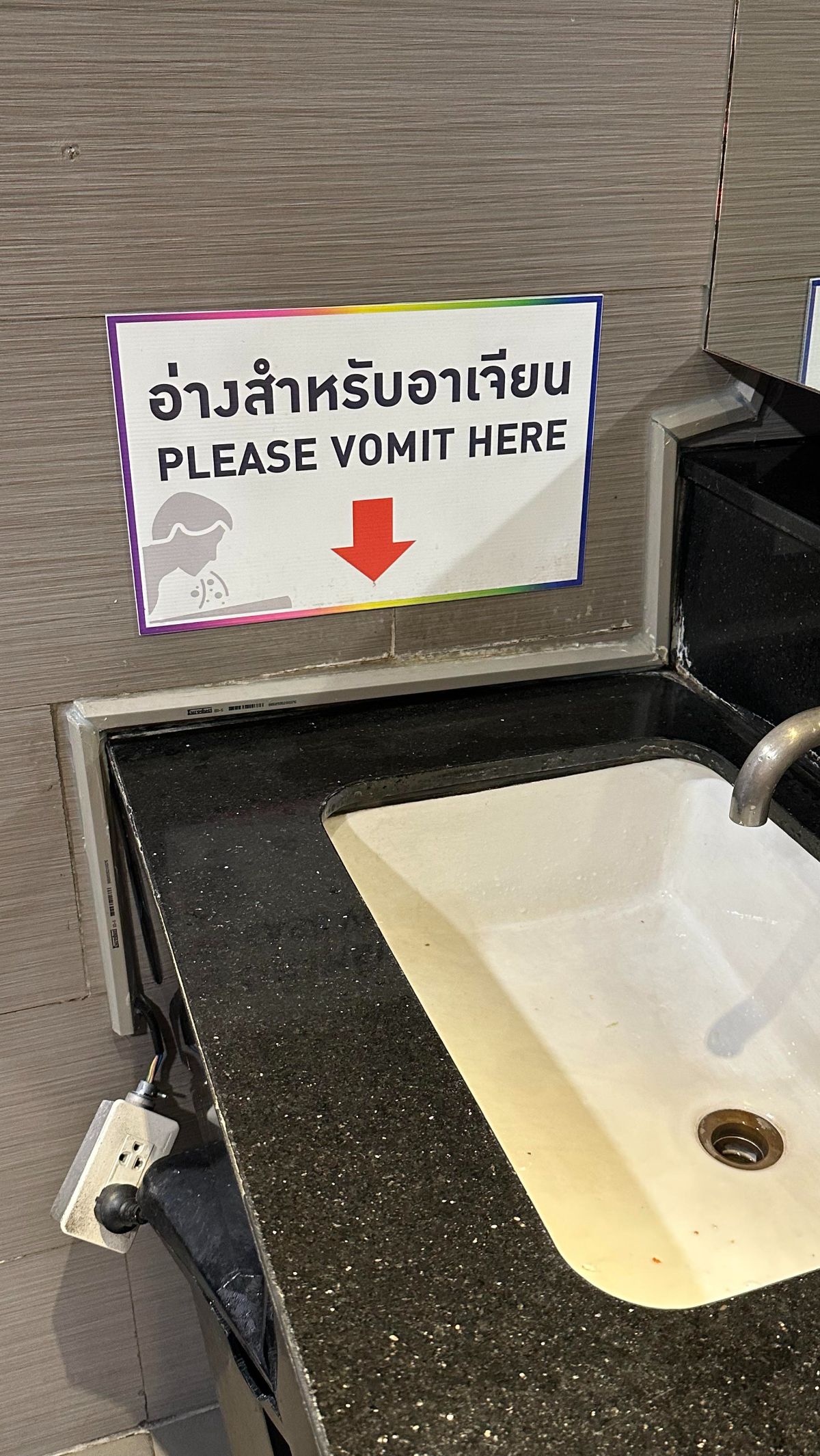 4. Special Sinks for Vomiting: Needed for Nightlife