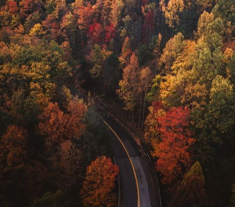 Top 5 Places To Visit In United States During Autumn Months