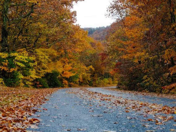 Top 5 Places To Visit In United States During Autumn Months
