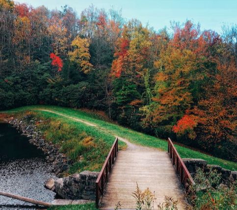 Also, take scenic drives, go hiking, or visit the stunning Biltmore Estate with its beautiful gardens.
