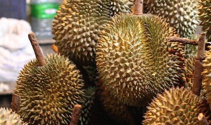 Kussam Srisong, the bus conductor, revealed his allergy to this strong-smelling fruit.