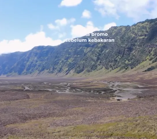 Potret Terkini Padang Savana Bromo Usai Terbakar, Pemandangan Hijau Berubah jadi Hitam dan Penuh Abu