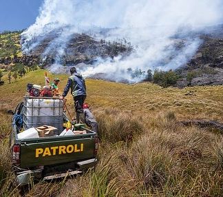 Potret Terkini Padang Savana Bromo Usai Terbakar, Pemandangan Hijau Berubah jadi Hitam dan Penuh Abu