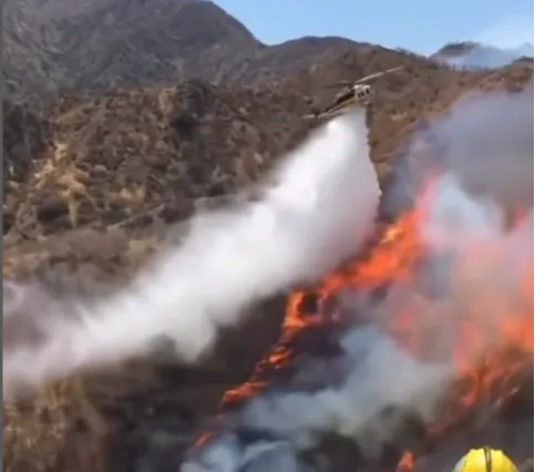 Potret Terkini Padang Savana Bromo Usai Terbakar, Pemandangan Hijau Berubah jadi Hitam dan Penuh Abu