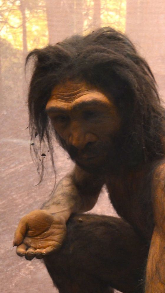 Homo Bodoensis, Spesies Baru Manusia Purba Ditemukan di Ethiopia, Hidup Sekitar 774.000 Tahun Lalu