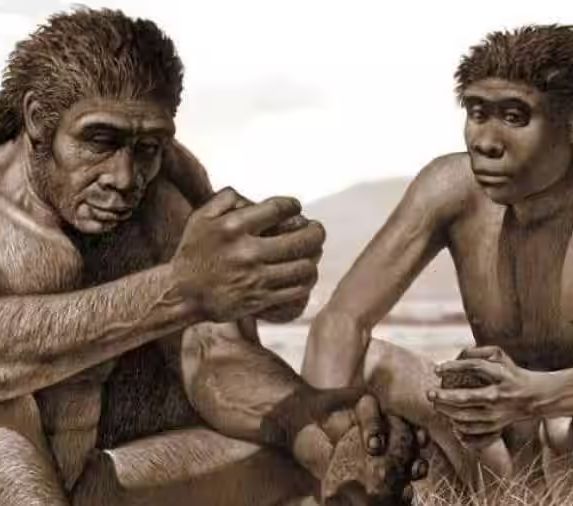 Homo Bodoensis, Spesies Baru Manusia Purba Ditemukan di Ethiopia, Hidup Sekitar 774.000 Tahun Lalu