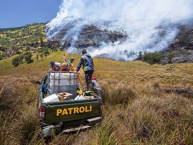Hujan Turun, Kebakaran di Kawasan Gunung Bromo Padam Setelah Seminggu Terbakar