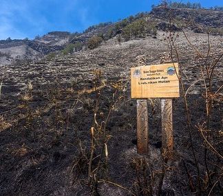 Hujan Turun, Kebakaran di Kawasan Gunung Bromo Padam Setelah Seminggu Terbakar