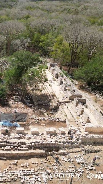 Dua Rumah Ditemukan di Tengah Hutan, Salah Satunya Mirip Istana