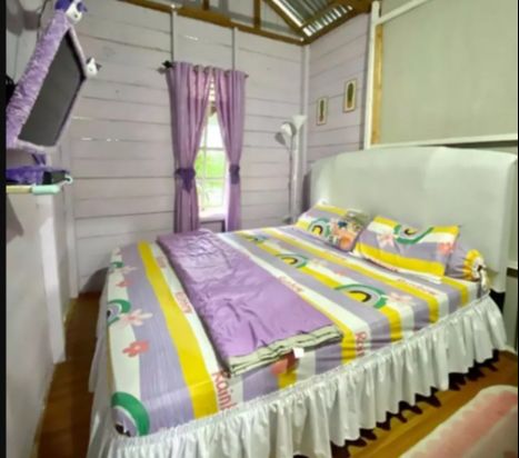 Dari Luar Rumah Berdinding Kayu Atap Seng di Rawa itu Bak Gubuk Reyot, Pas Lihat Dalamnya Bikin Takjub