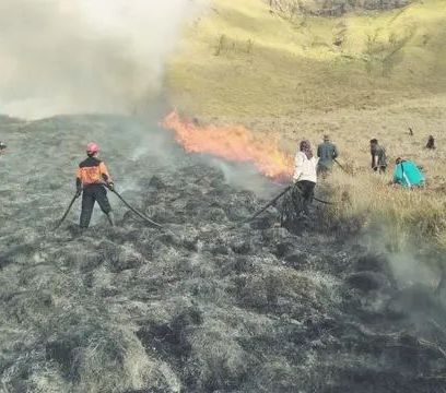 Ngaku Sudah Padamkan Api, WO dan Calon Pengantin Salahkan Angin Kencang dan Rumput Kering Bromo