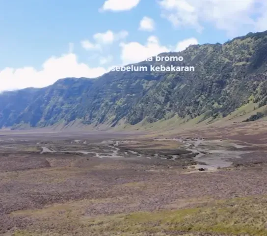 Ngaku Sudah Padamkan Api, WO dan Calon Pengantin Salahkan Angin Kencang dan Rumput Kering Bromo