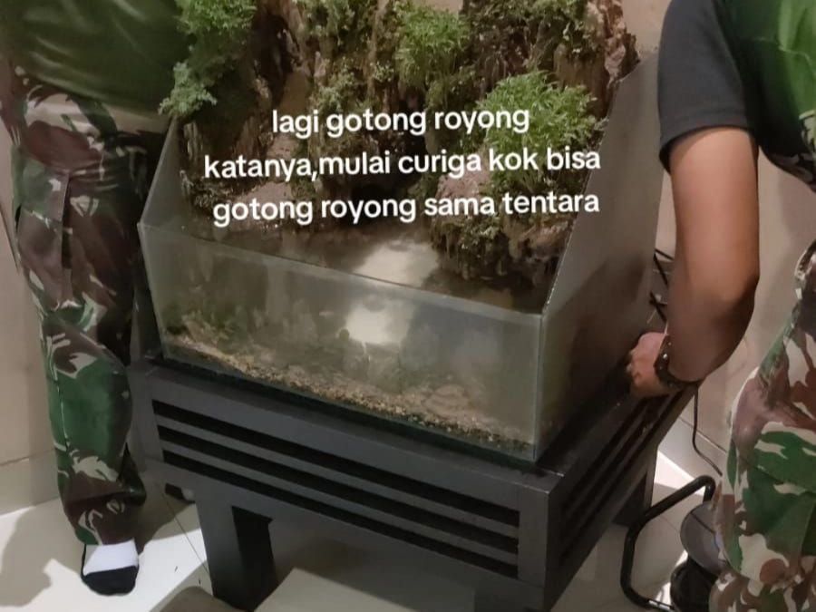 Mulai Curiga