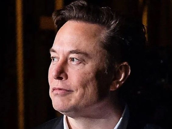 Revealed: Elon Musk and Grimes Had Third 'Secret' Children!