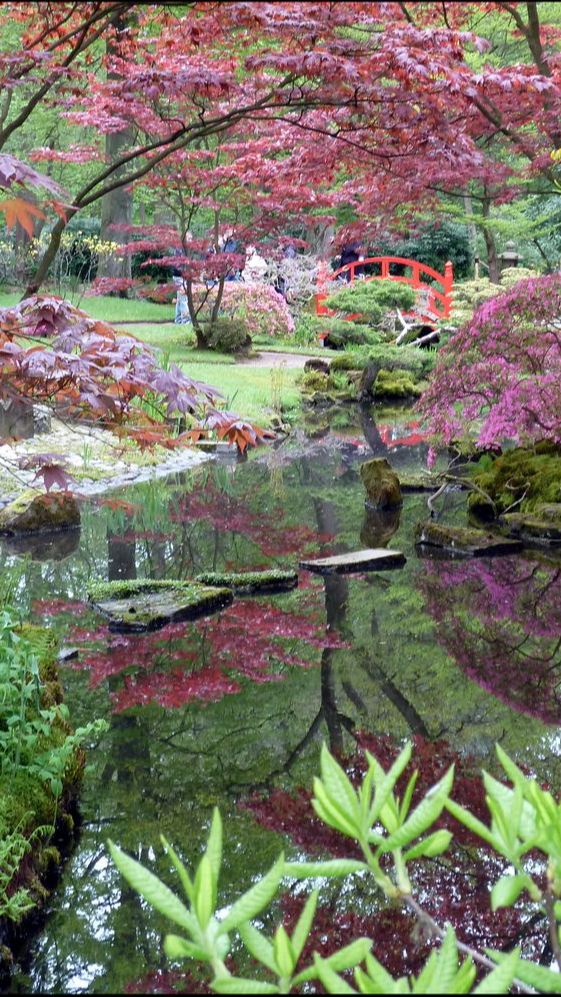 2. Clingendael Japanese Garden<br>