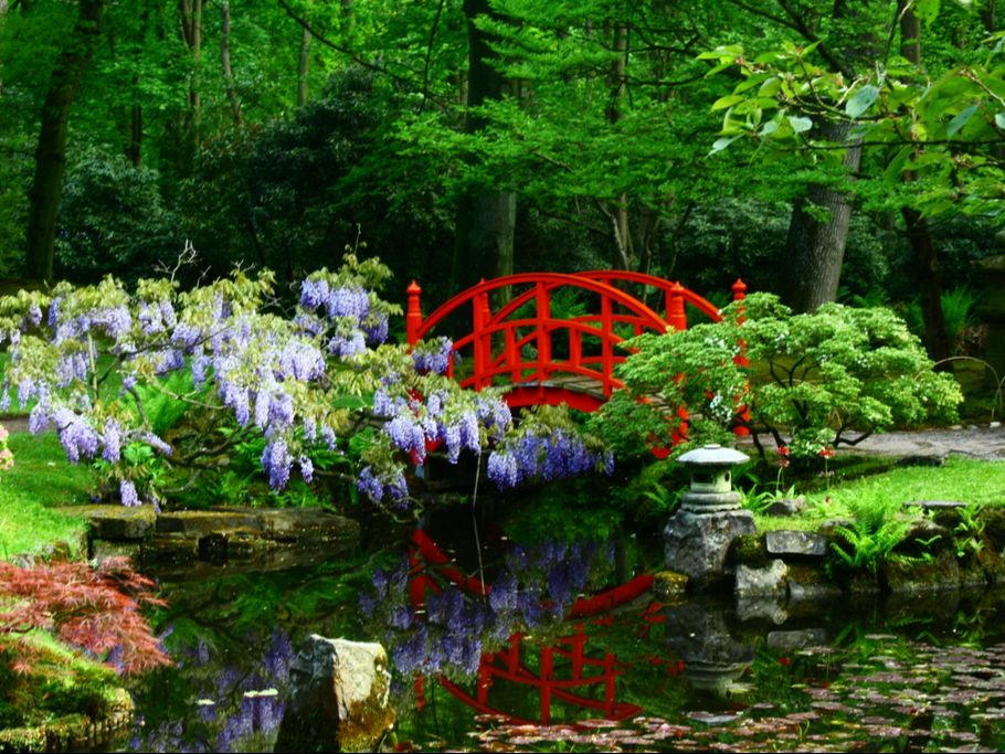 Explore the 5 Best Flower Gardens in the Netherlands for Plant Lovers