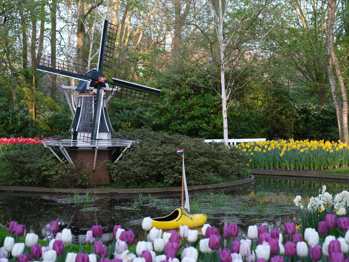 Explore the 5 Best Flower Gardens in the Netherlands for Plant Lovers