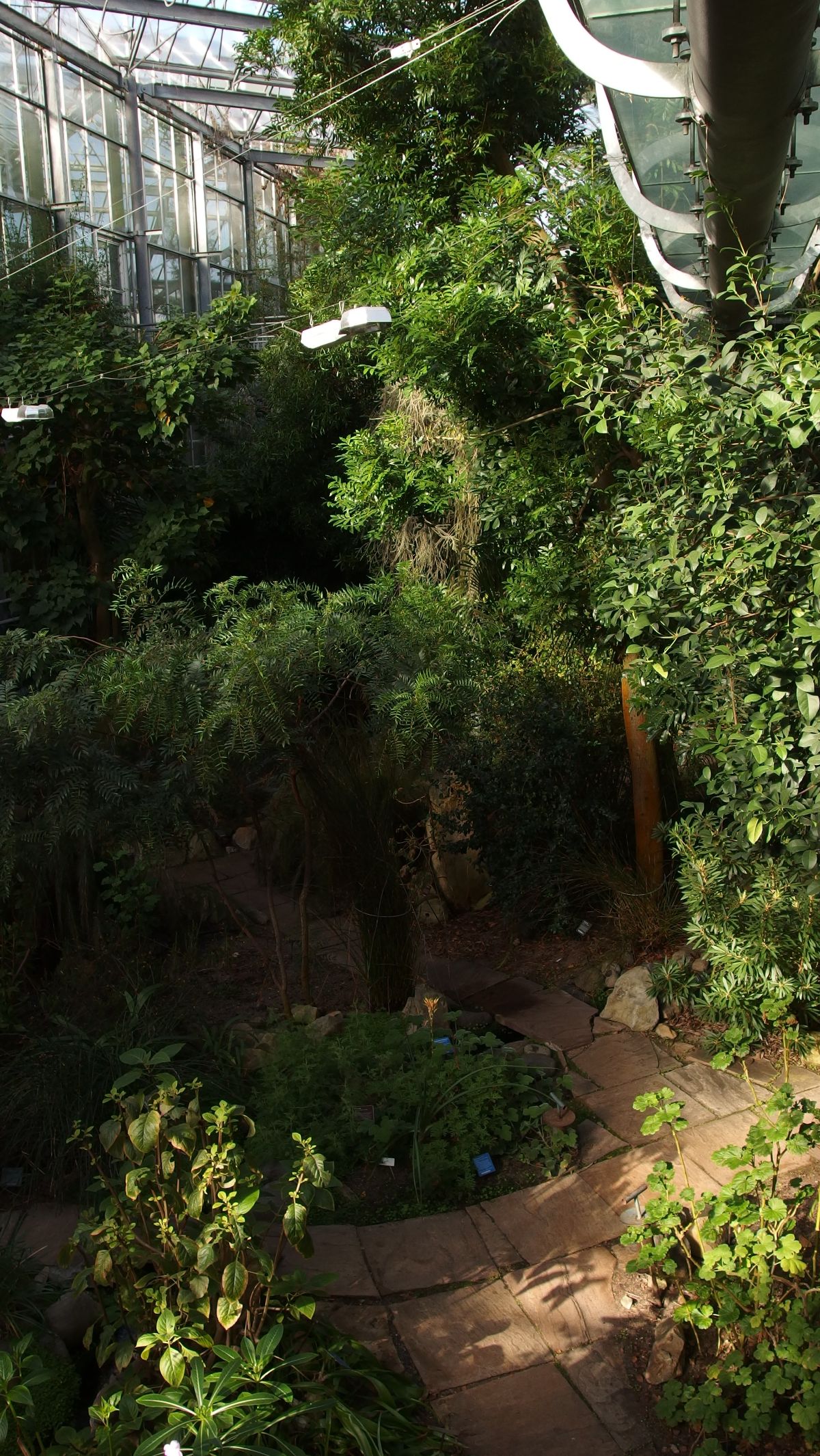 5. Hortus Botanicus<br>