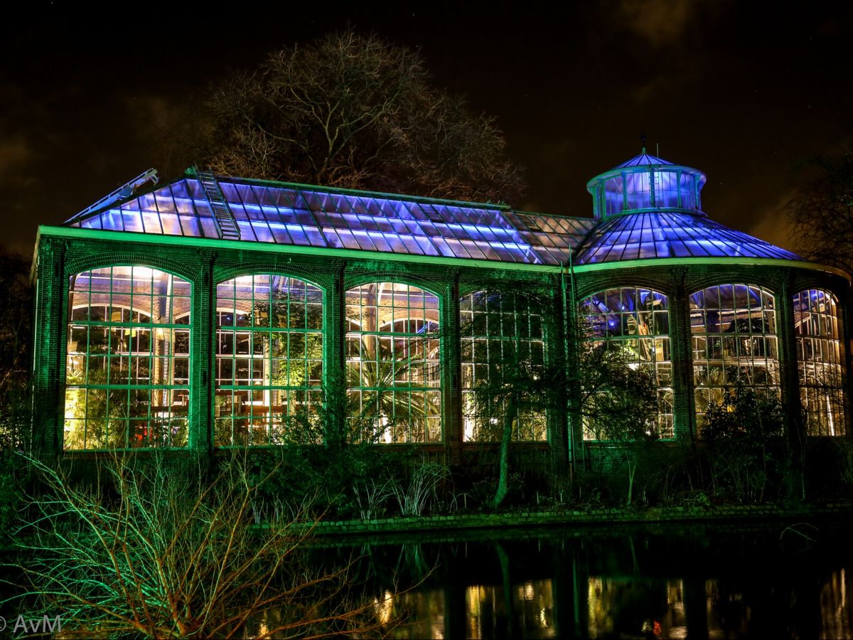 Explore the 5 Best Flower Gardens in the Netherlands for Plant Lovers
