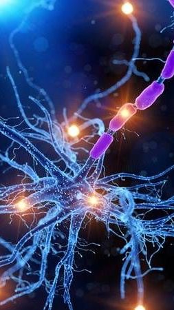 Neurological Research