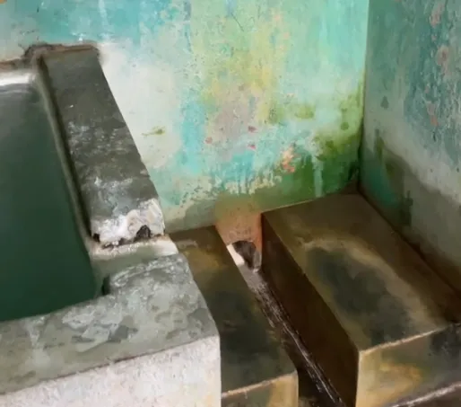 Viral Potret Kamar Mandi Diklaim Paling 'Estetik' di Dunia, Pas Masuk Bikin Penggunanya Kecele!