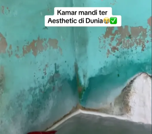 Viral Potret Kamar Mandi Diklaim Paling 'Estetik' di Dunia, Pas Masuk Bikin Penggunanya Kecele!
