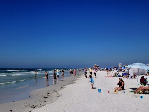 5 Fun Things To Do In Sarasota For First-Time Visitors