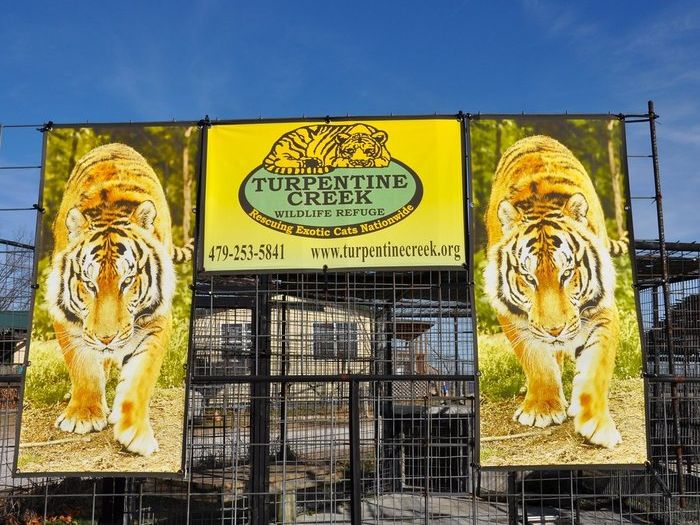 2. Turpentine Creek Wildlife Refuge<br>