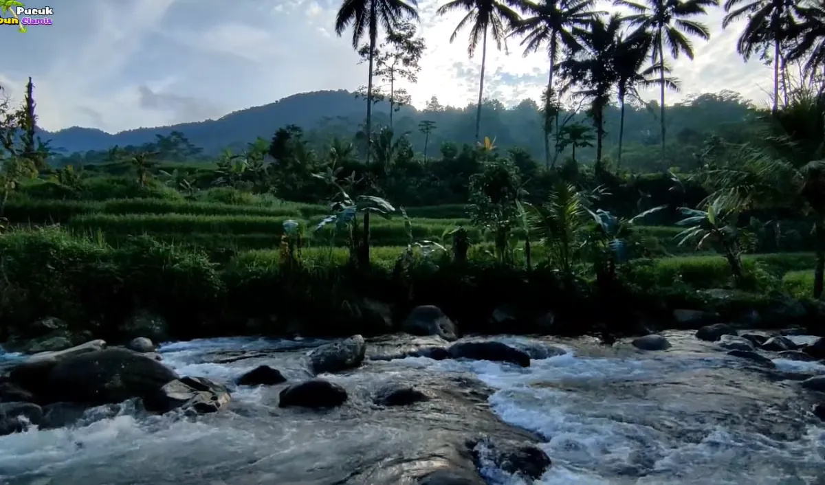 Suasananya Bikin Betah
