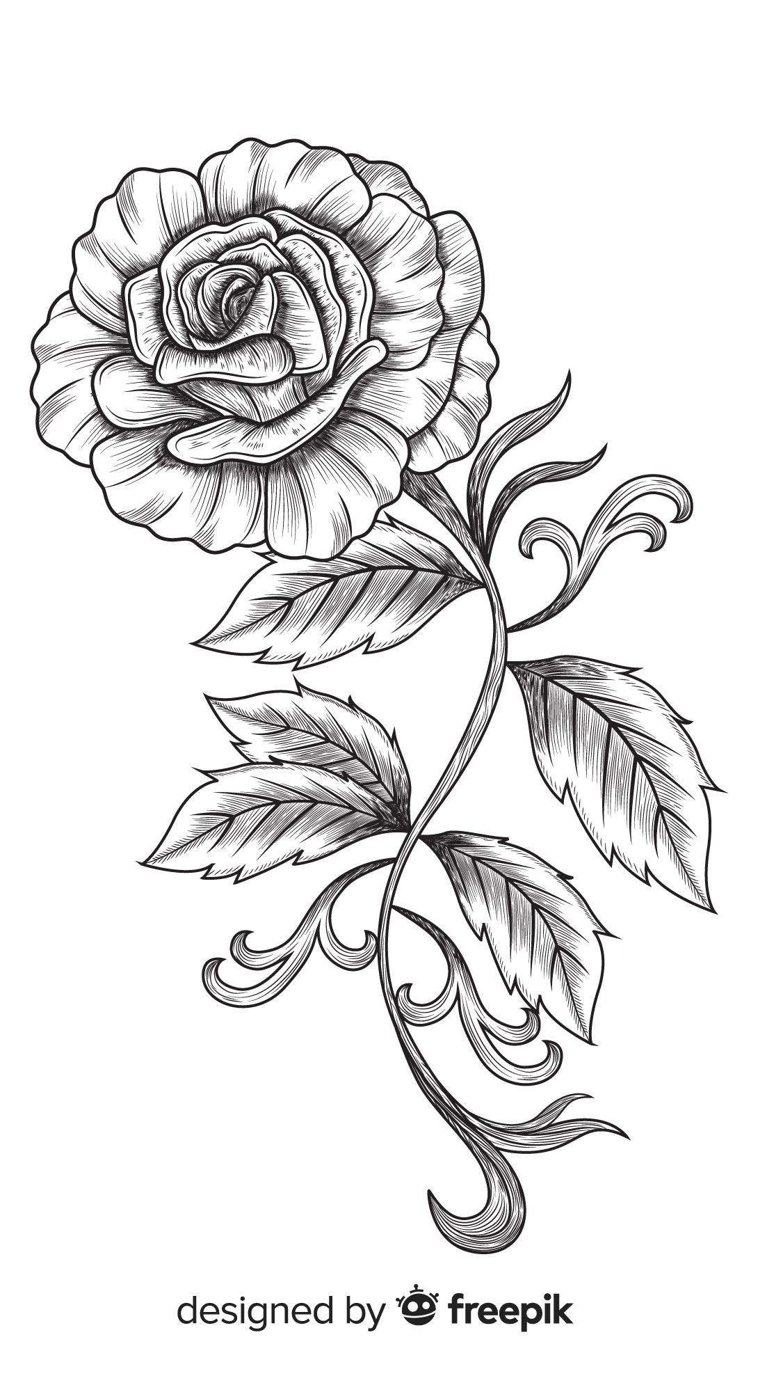 B. Tips To Learn How To Draw A Rose Like A Pro