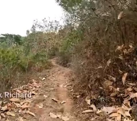 Kisah Kampung Mati di Gunungkidul, Kini Hanya Tersisa Dua Rumah di Puncak Bukit