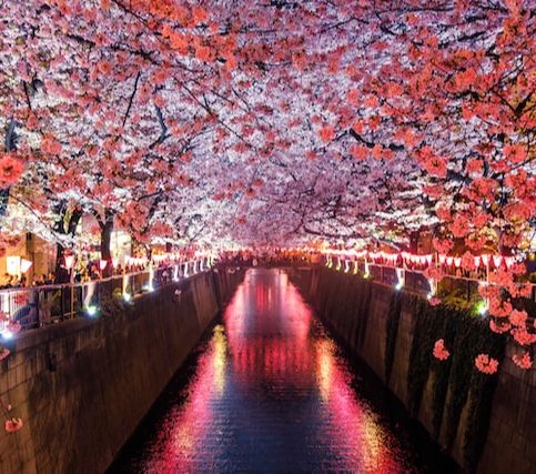5 Best Budget-Friendly Destinations In Japan For Backpackers
