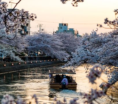 Kyoto offers various cheaper accommodations and restaurants that will not break your pocket.