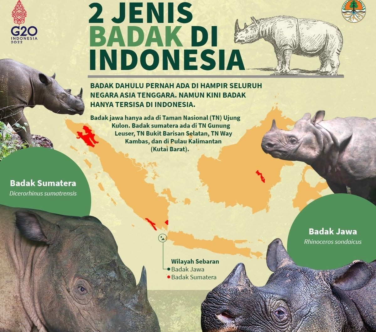 Kebakaran Bromo dan Pengelolaan Taman Nasional di Indonesia