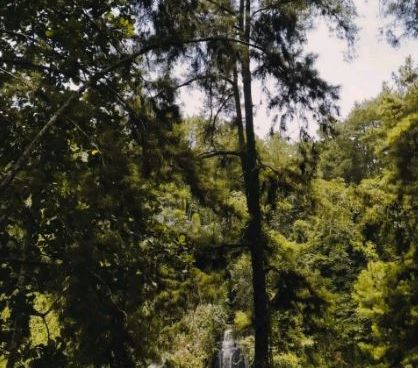 Menikmati Pesona Curug Cimandaway, Air Terjun Tertinggi di Cilacap